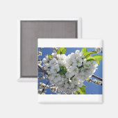 Cherry blossom hart magneet (Voorkant / Achterkant)