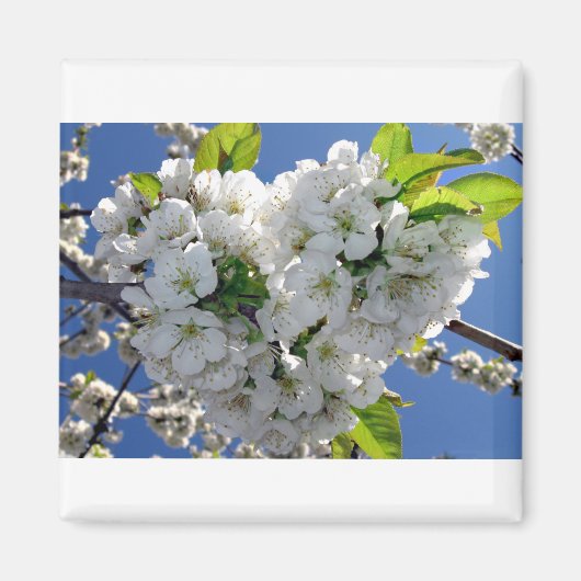 Cherry blossom hart magneet (Voorkant)
