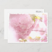 Cherry Blossom "Hayashi-ichigo" ポストカード Briefkaart (Voorkant / Achterkant)