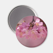 Cherry Blossom Hot Spring 2012 Apparel & Gifts Magneet (Voorkant / Achterkant)