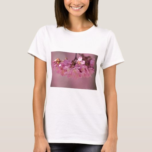 Cherry Blossom Hot Spring 2012 Apparel & Gifts T-shirt (Voorkant)