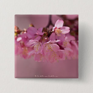 Cherry Blossom Hot Spring 2012 Apparel & Gifts Vierkante Button 5,1 Cm