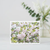 Cherry Blossom "Ichiyo" Briefkaart (Staand voorkant)