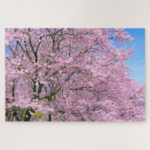 Cherry Blossom in Bloom Legpuzzel