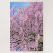 Cherry Blossom in Bloom Legpuzzel (Verticaal)