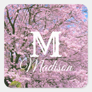 Cherry Blossom in Bloom Vierkante Sticker