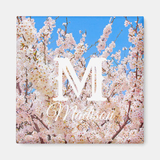 Cherry Blossom in Full Bloom Magneet