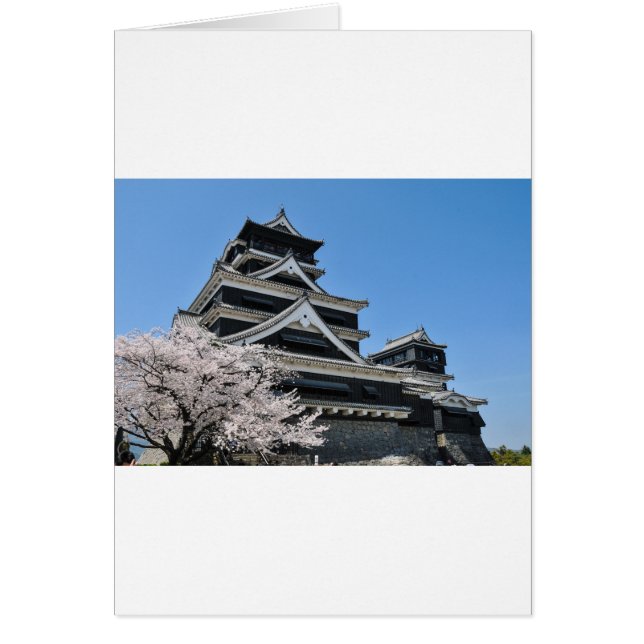 Cherry Blossom in Japan (Voorkant)