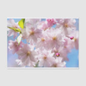 Cherry Blossom in lente Tissuepapier (Voorkant)