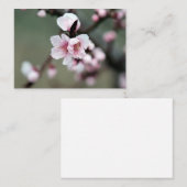 Cherry Blossom in Spring Notitiekaartje (Voorkant / Achterkant)
