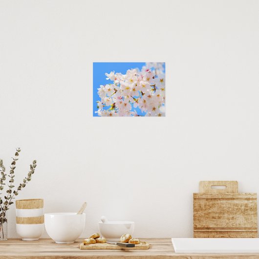 Cherry Blossom in Spring Poster (Keuken)