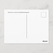 Cherry Blossom in Washington D.C. Briefkaart (Achterkant)