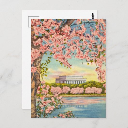 Cherry Blossom in Washington DC. Briefkaart (Voorkant / Achterkant)