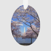 Cherry blossom in Washington DC Foto Ornament (achterkant)