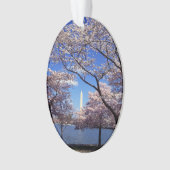 Cherry blossom in Washington DC Foto Ornament (voorkant)