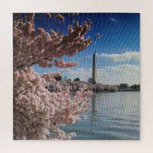 Cherry Blossom in Washington, DC Legpuzzel