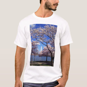 Cherry Blossom in Washington DC Mannen T-shirt