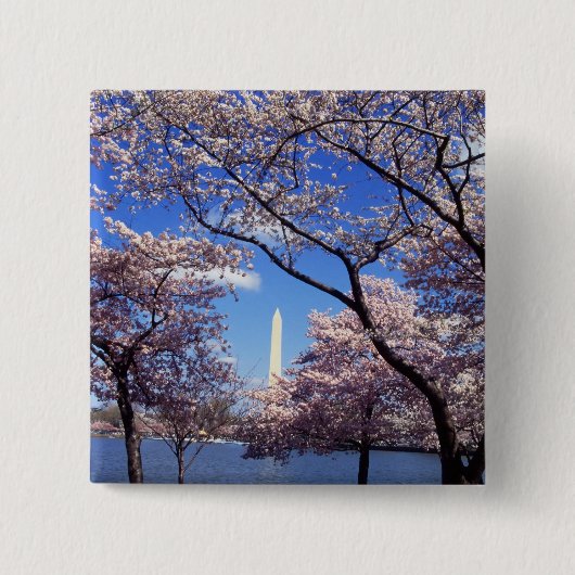 Cherry Blossom in Washington DC pinback button (Voorkant)