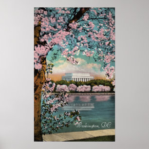 Cherry Blossom in Washington DC Poster