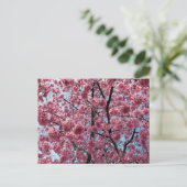 Cherry Blossom: Japan Briefkaart (Staand voorkant)