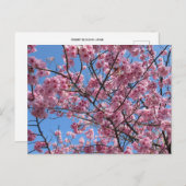 Cherry Blossom: Japan Briefkaart (Voorkant / Achterkant)
