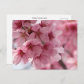 Cherry Blossom: Japan Briefkaart (Voorkant / Achterkant)