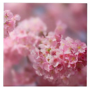 Cherry blossom Japan florroze  unieke Cer Tegeltje