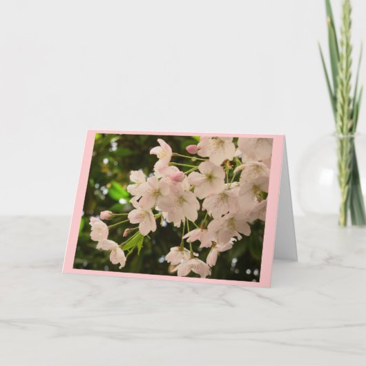 Cherry Blossom Kaart White Blossom Kaart Personali (Voorkant)