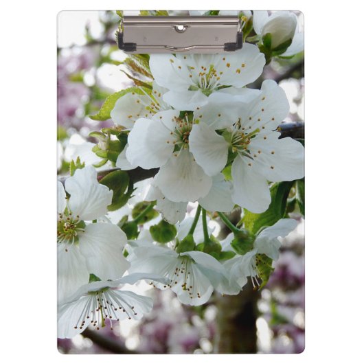 Cherry Blossom Klembord (Voorkant)
