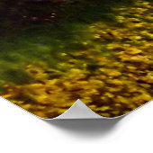 CHERRY BLOSSOM LANE, NJ. POSTER (Hoek)