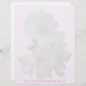 Cherry Blossom Letterhead Stationery Briefhoofd Sjabloon (Voorkant / Achterkant)