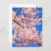 Cherry Blossom London UK Briefkaart (Voorkant / Achterkant)
