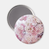 Cherry Blossom Magneet (Voorkant / Achterkant)