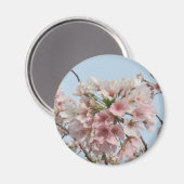 Cherry Blossom Magneet (Voorkant / Achterkant)