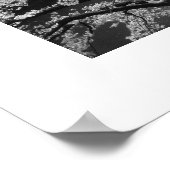 Cherry Blossom: Meguro River, Tokio (zwart-wit) Poster (Hoek)