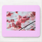 Cherry Blossom Mousepad Muismat (Voorkant)