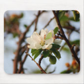 Cherry Blossom Muismat (Voorkant)