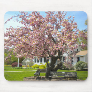 Cherry Blossom Muismat