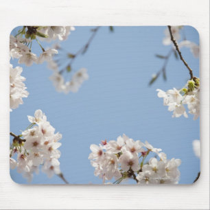 Cherry blossom muismat