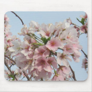 Cherry Blossom Muismat