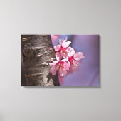 Cherry Blossom Nestled Against Branch Poster Canvas Afdruk (Voorkant)