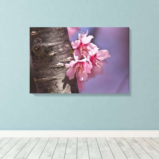 Cherry Blossom Nestled Against Branch Poster Canvas Afdruk (Insitu (Houten vloer))