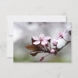Cherry Blossom Notecard Notitiekaartje