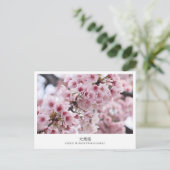 Cherry Blossom ‘Oh-kanzakura’ Briefkaart (Staand voorkant)