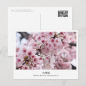 Cherry Blossom ‘Oh-kanzakura’ Briefkaart (Voorkant / Achterkant)