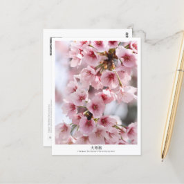 Cherry Blossom ‘Oh-kanzakura’ Briefkaart