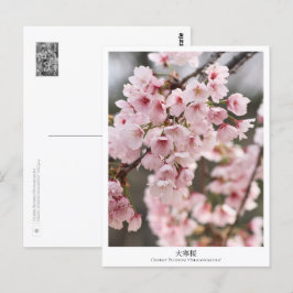 Cherry Blossom ‘Oh-kanzakura’ Briefkaart