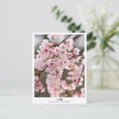 Cherry Blossom ‘Oh-kanzakura’ Briefkaart (Staand voorkant)