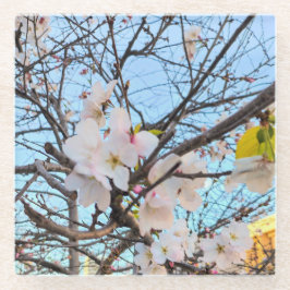 Cherry Blossom Onderzetter Glazen Onderzetter