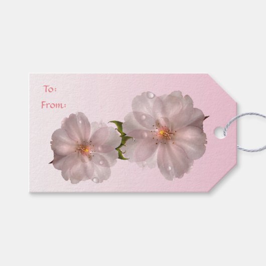 Cherry Blossom Pack of Gift Labels Cadeaulabel (Voorkant (Horizontaal))